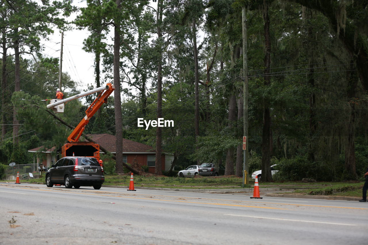 CARS PARKED ON ROAD WITH TREES IN BACKGROUND