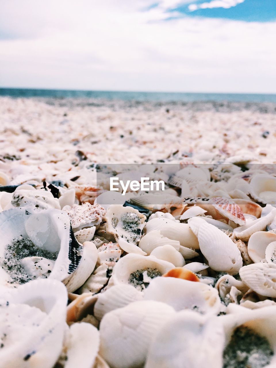 Close-up of pebbles on beach against sky