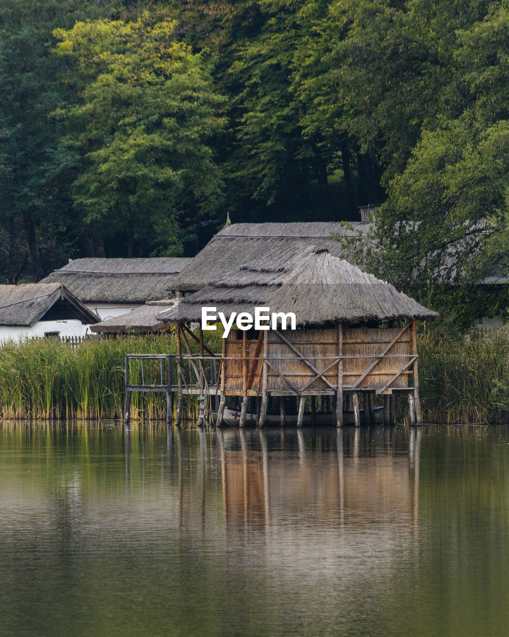 HOUSES BY LAKE AGAINST TREES AND PLANTS