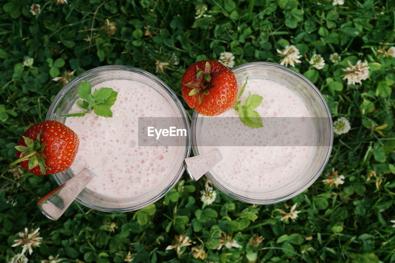 Directly above view of fresh milkshakes with mint leaves and strawberries on plant