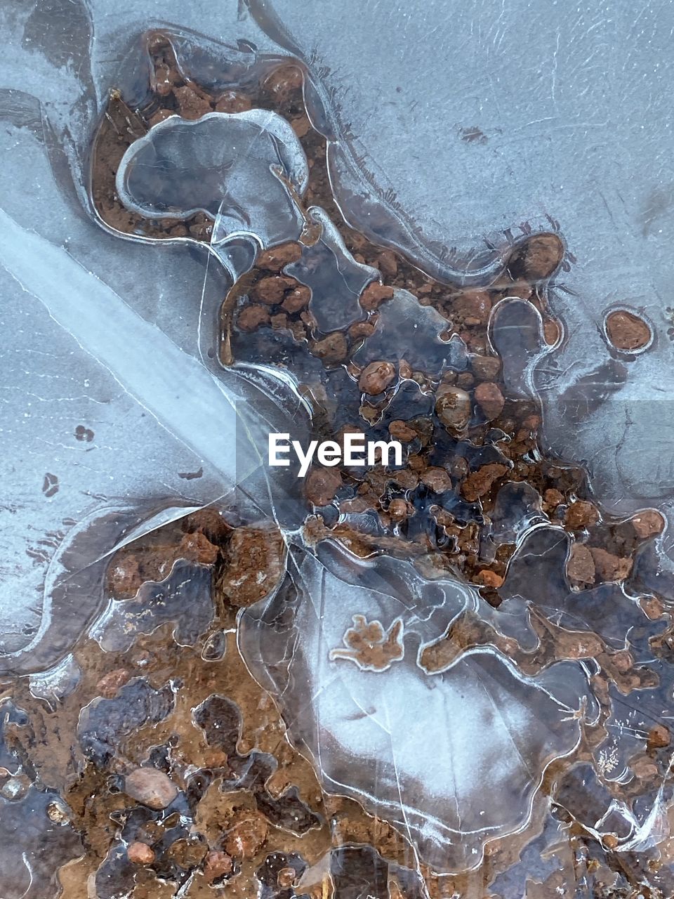 no people, water, nature, high angle view, leaf, outdoors, ice, close-up