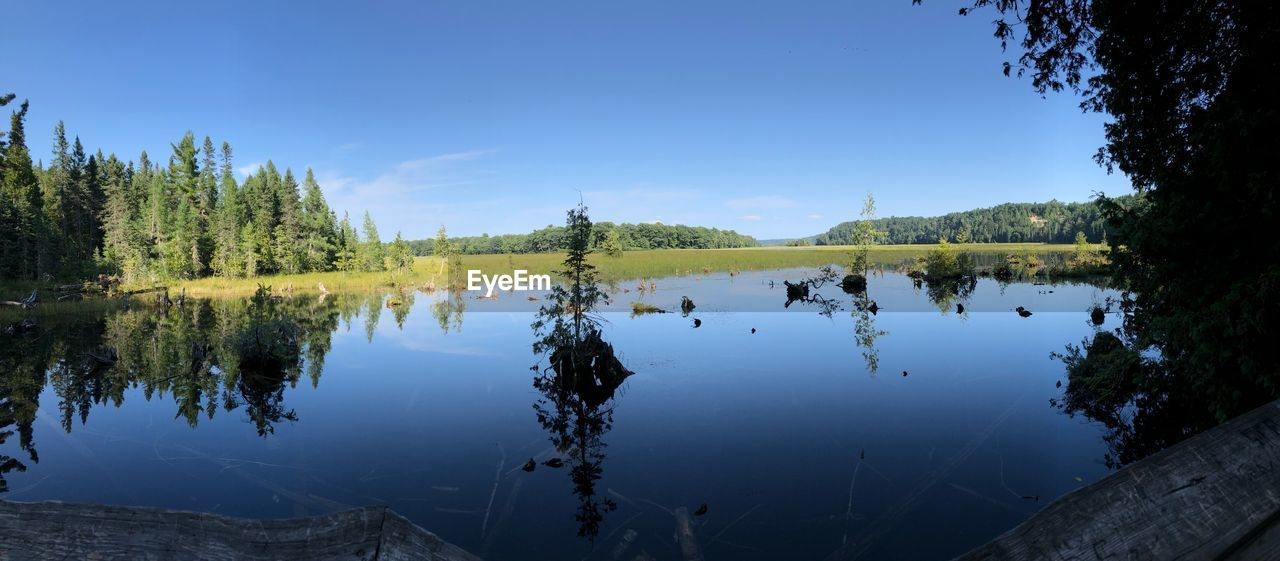 REFLECTION OF TREES IN LAKE AGAINST SKY