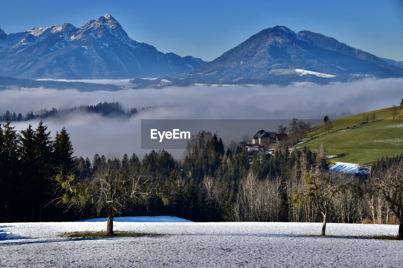 Scenic view of foggy valley with trees and snowcapped mountains against sky