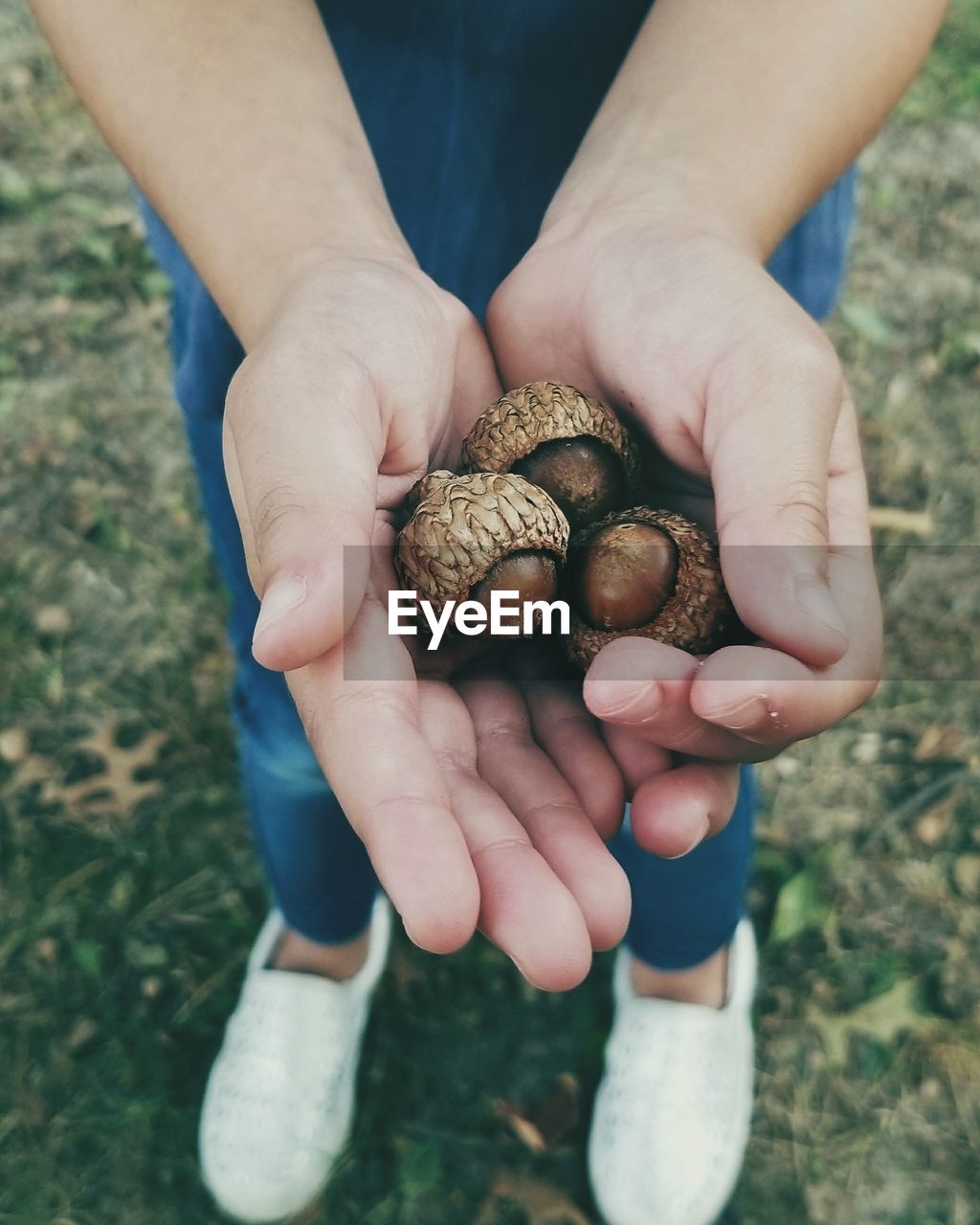 CLOSE-UP OF HAND HOLDING CORN