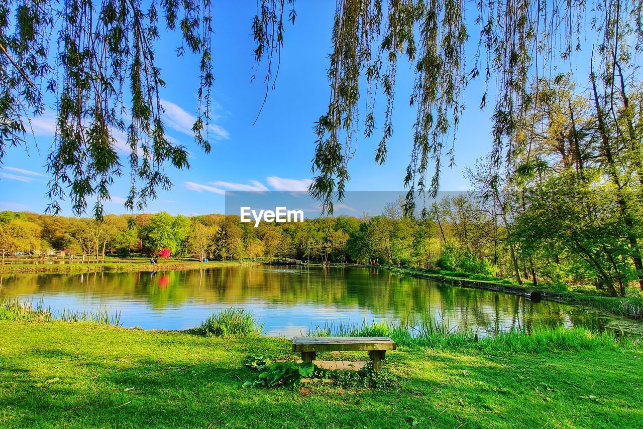 SCENIC VIEW OF LAKE AGAINST TREES