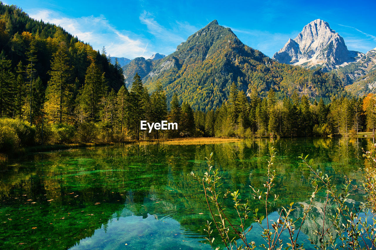 Scenic view of lake by trees against sky