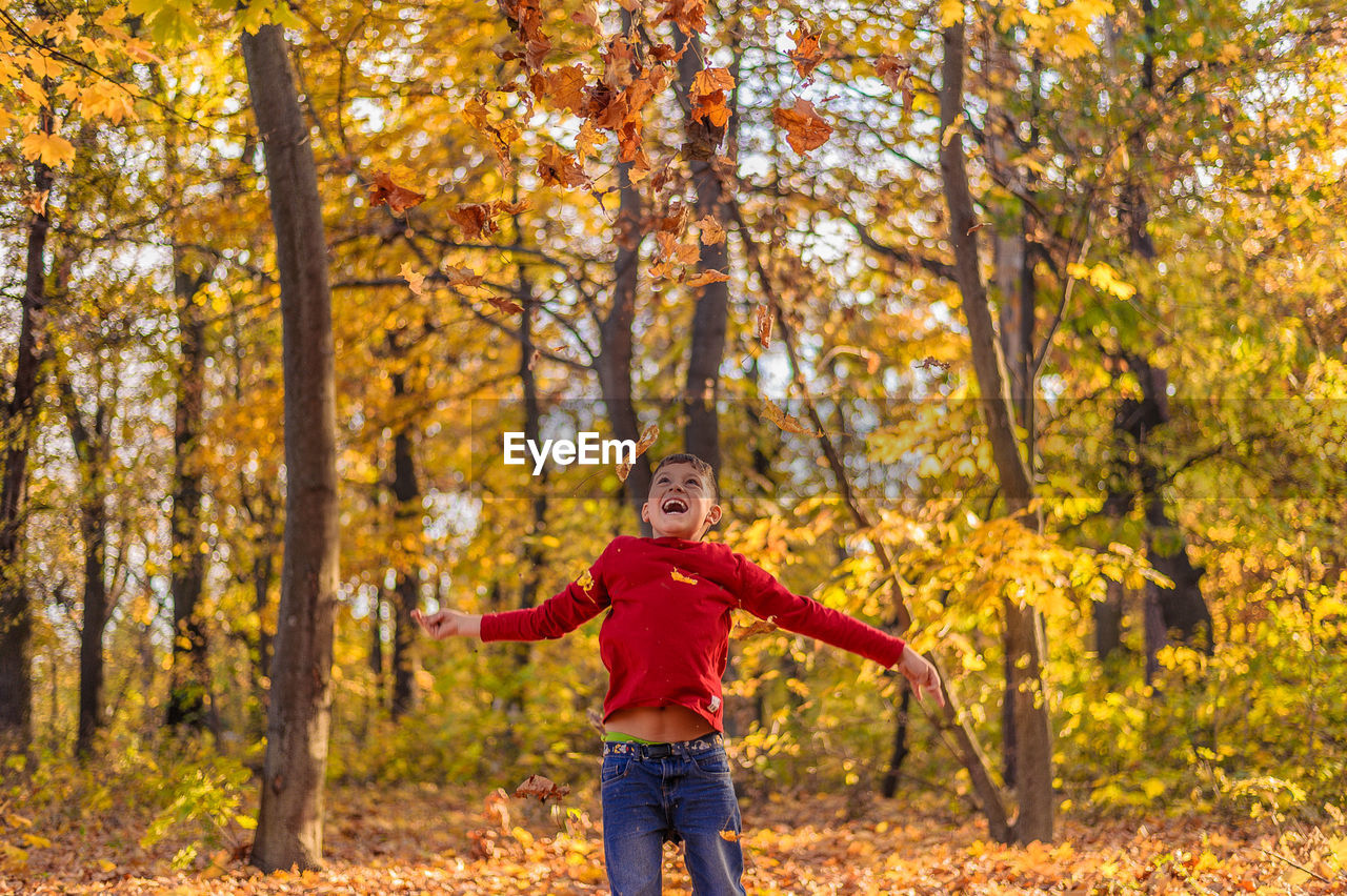 Young guy in red laughs in the autumn forest and bounced up throws yellow leaves