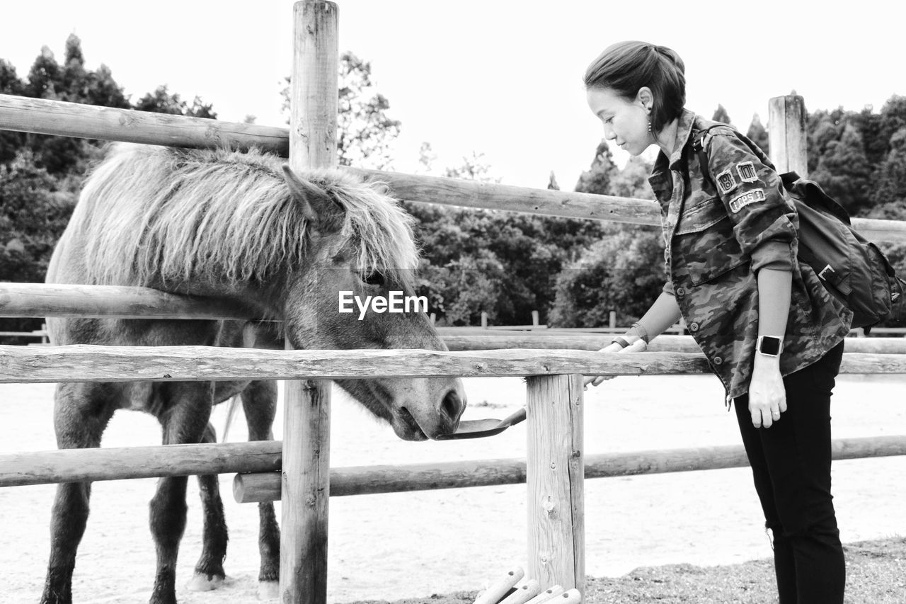 Woman feeding horse at ranch