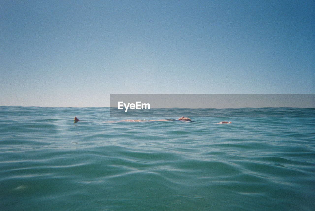 Scenic view of person floating in sea against clear blue sky