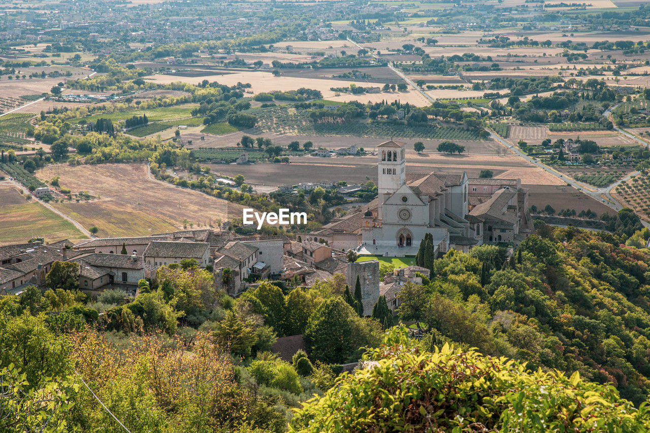 View from the top of the church of st. francis of assisi