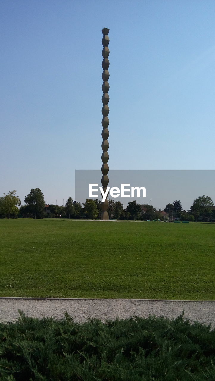 TREES ON GRASSY FIELD AGAINST CLEAR SKY