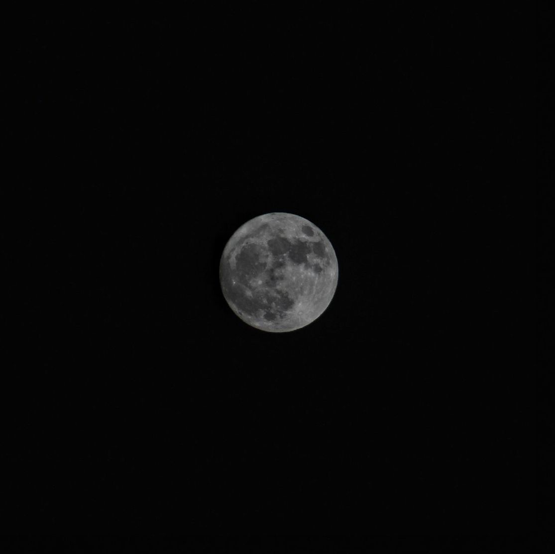 Low angle view of moon against clear sky at night