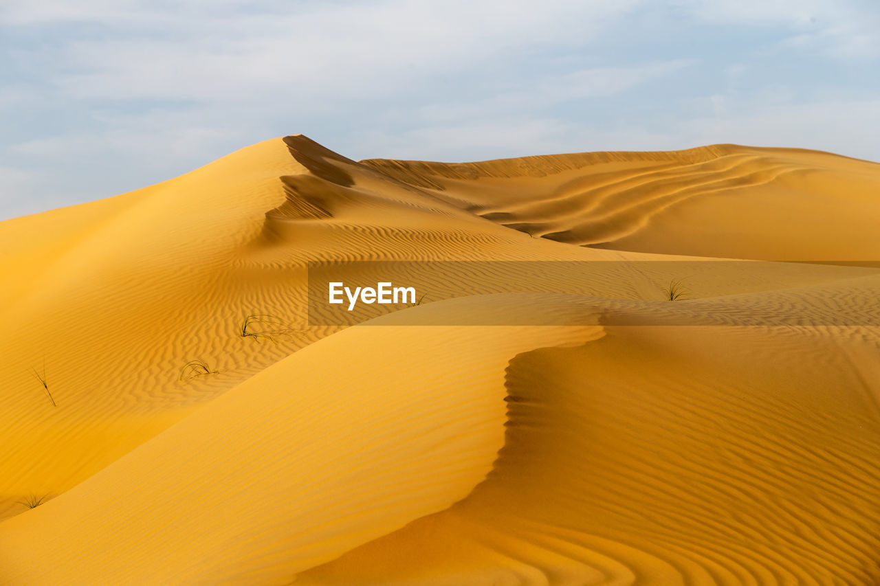 Beautiful sand dunes in the desert in united arab emirates