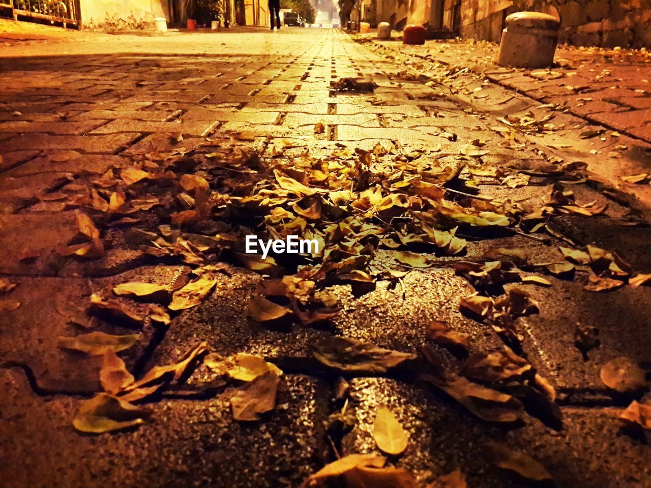 SURFACE LEVEL OF DRY LEAVES ON STREET