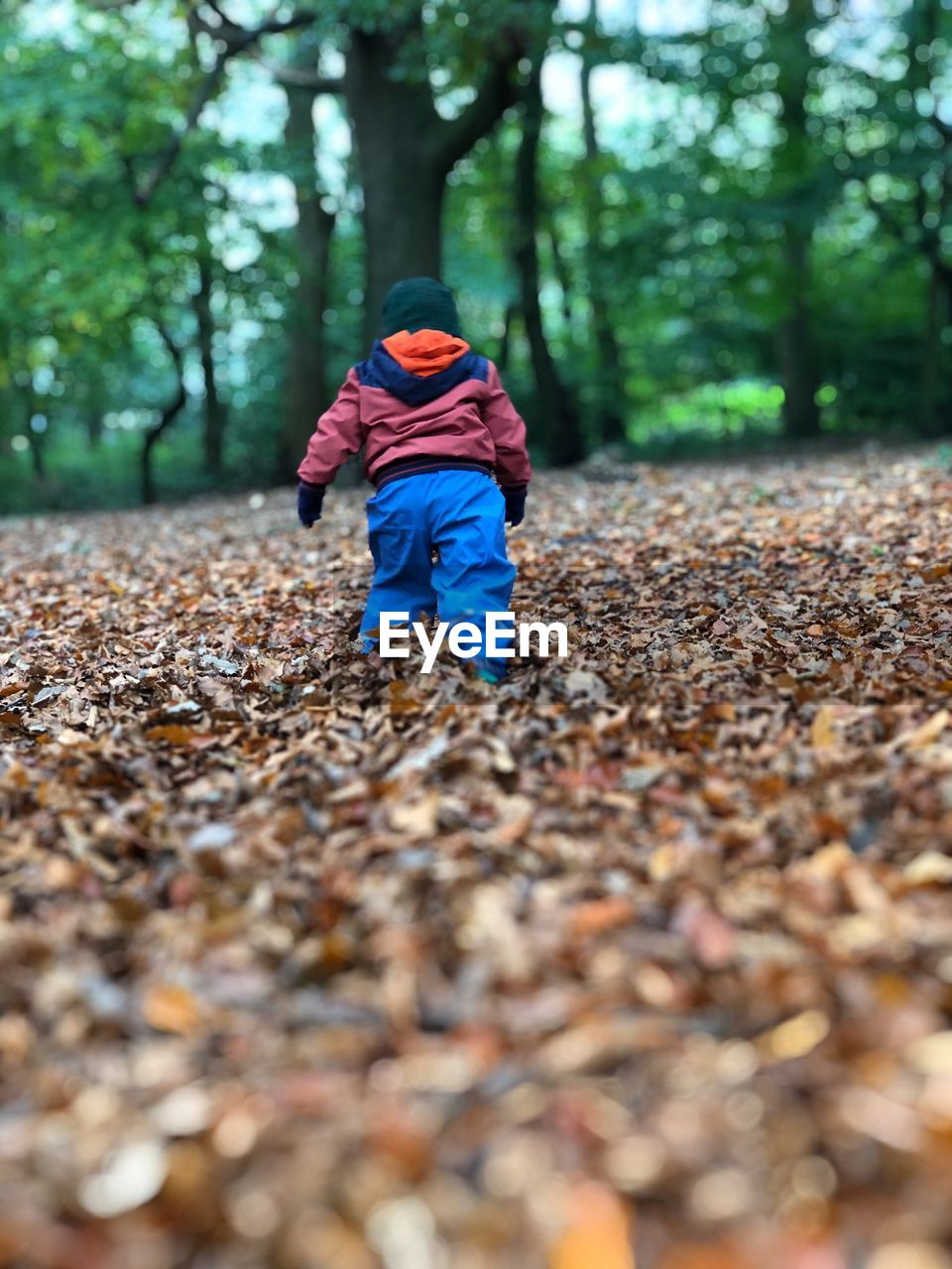 REAR VIEW OF BOY RUNNING ON STREET AMIDST TREES