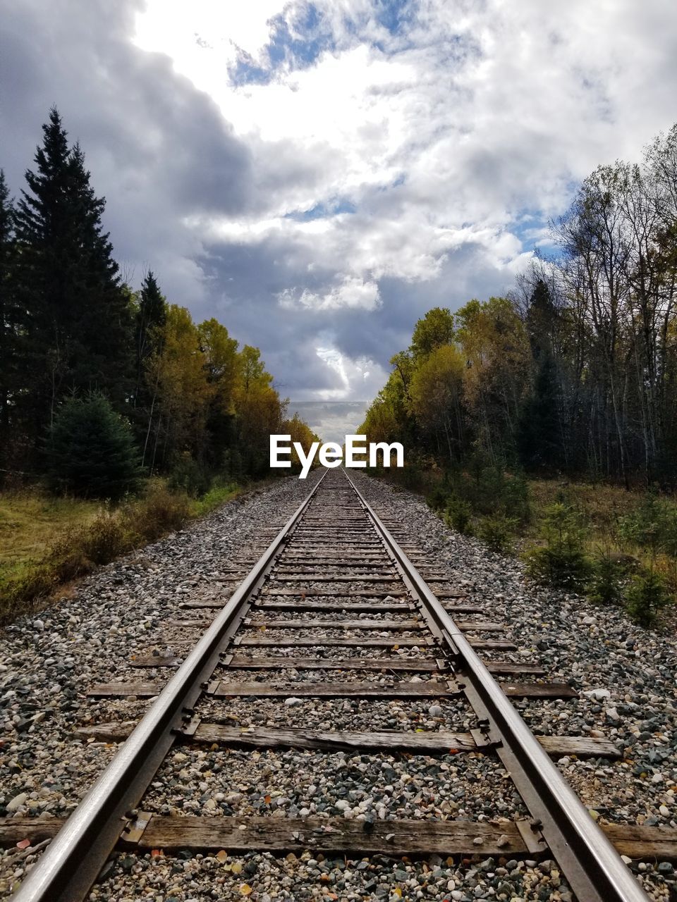 VIEW OF RAILROAD TRACKS ALONG TREES