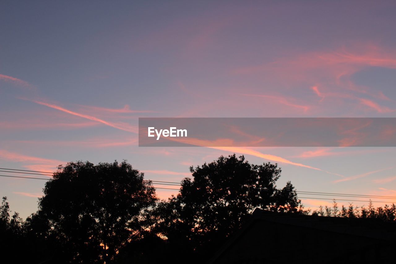 SILHOUETTE OF TREES AT SUNSET