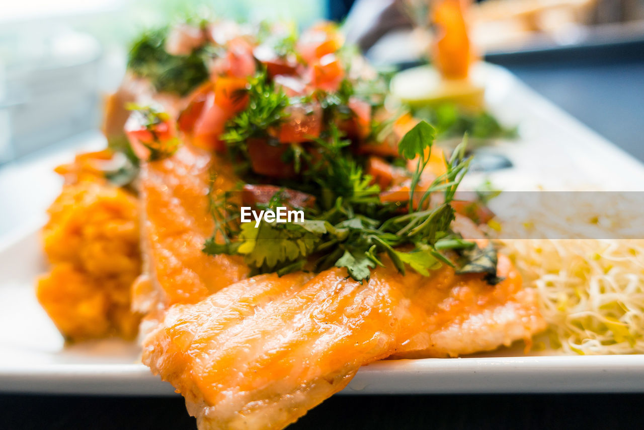 Close-up of seafood in plate