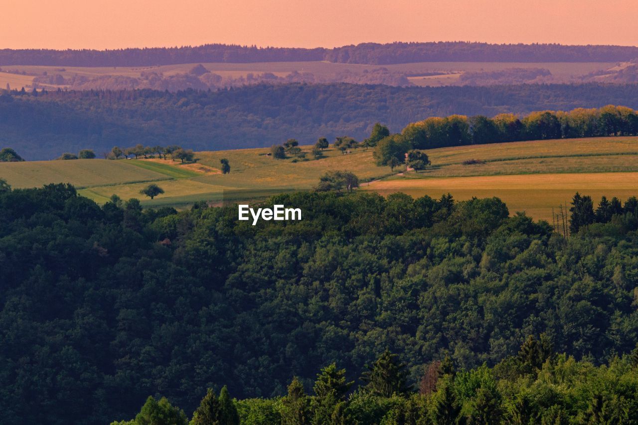 High angle view of trees on field against sky