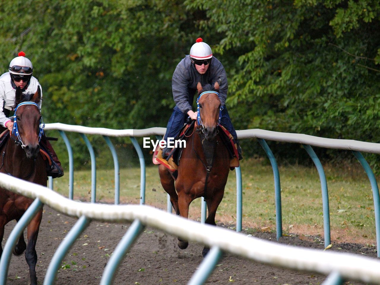 VIEW OF HORSE RIDING