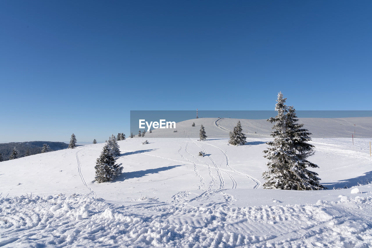 snow, winter, cold temperature, scenics - nature, nature, sky, landscape, environment, tree, blue, piste, mountain, mountain range, beauty in nature, plant, coniferous tree, pine tree, clear sky, winter sports, tranquil scene, land, tranquility, white, day, non-urban scene, no people, pinaceae, forest, copy space, frozen, footwear, resort, ski equipment, pine woodland, ski, sunlight, ski touring, snowcapped mountain, sunny, outdoors, travel destinations, travel, ski mountaineering, woodland, idyllic, holiday