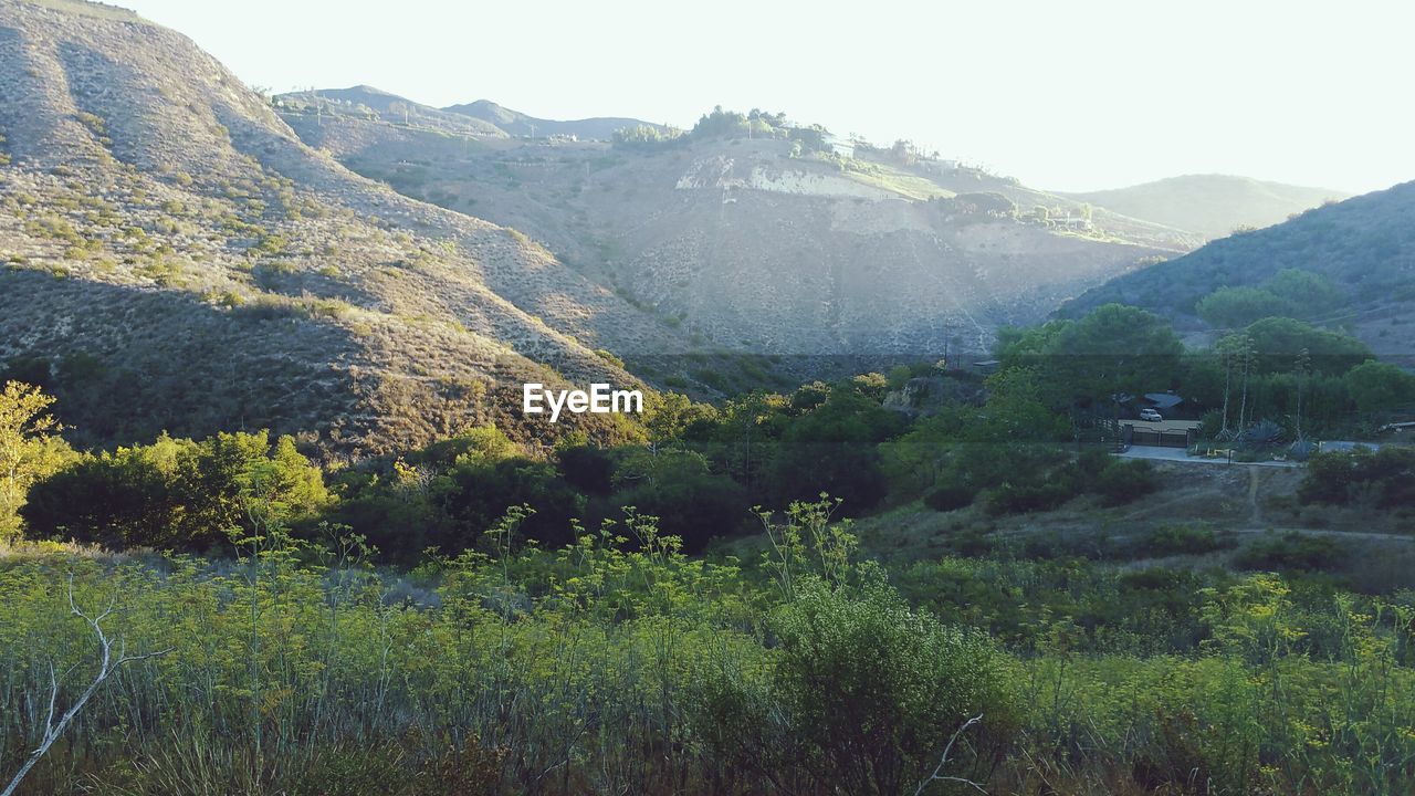 SCENIC VIEW OF MOUNTAINS