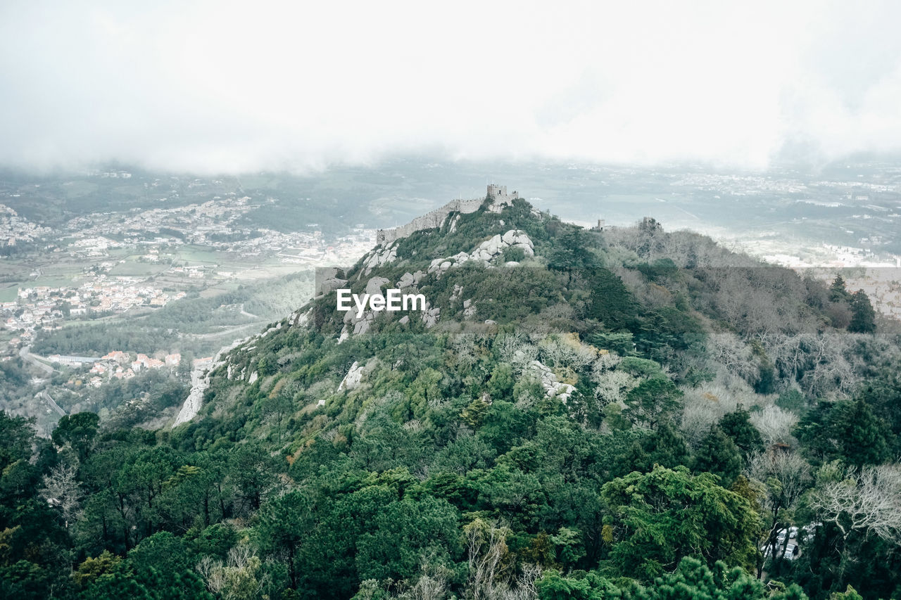 SCENIC VIEW OF TREES AND MOUNTAINS AGAINST SKY