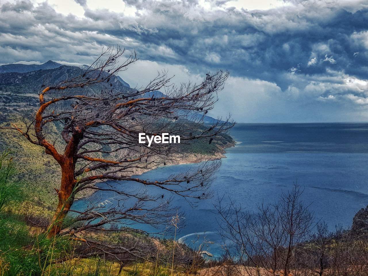 Scenic view of sea against sky