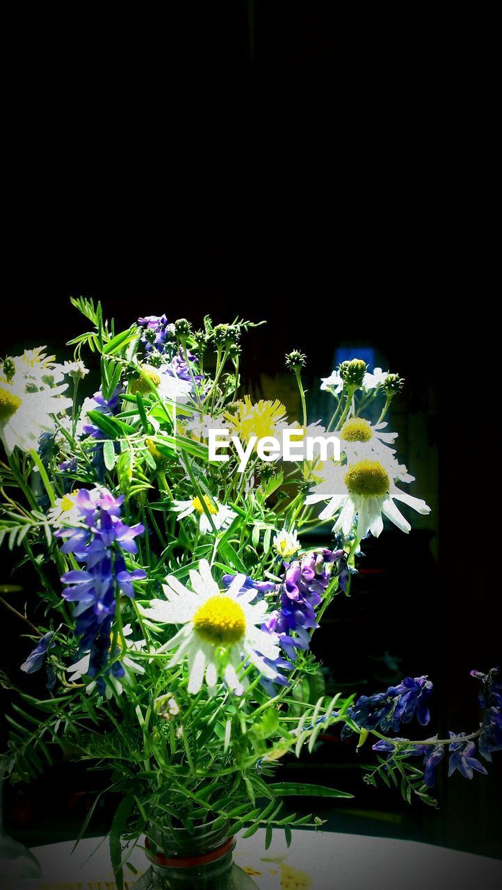 Flowers in vase on table