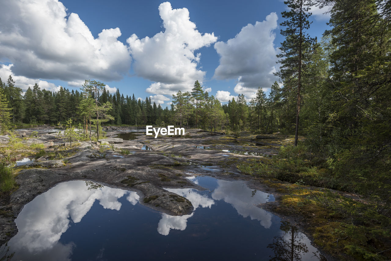 Reflection of trees in water against sky