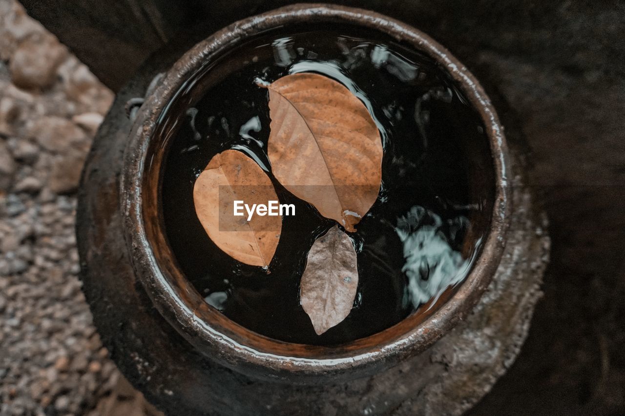 Dried leaves floating on the water in the pottery