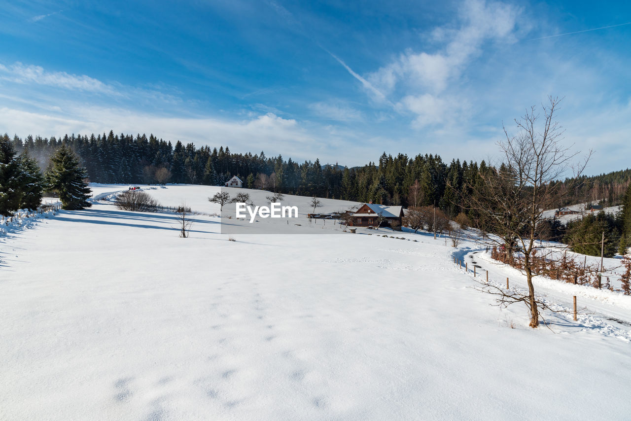 SCENIC VIEW OF SNOWY FIELD AGAINST SKY