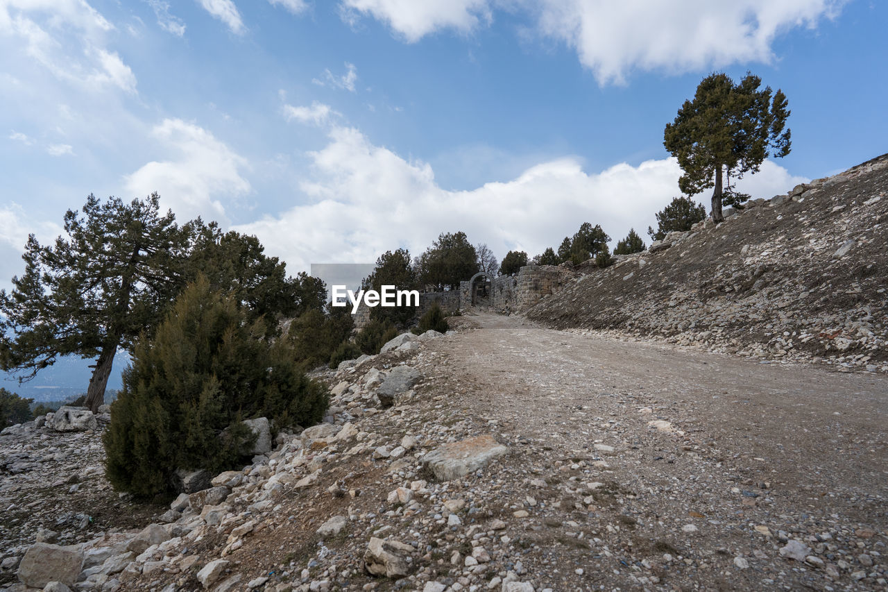 sky, cloud, tree, mountain, environment, landscape, ridge, wilderness, plant, rock, nature, scenics - nature, land, geology, beauty in nature, non-urban scene, travel, no people, pinaceae, trail, coniferous tree, travel destinations, outdoors, pine tree, mountain range, snow, plateau, tranquility, outdoor pursuit, day, tourism, forest, walking, adventure, pine woodland, tranquil scene, activity, valley, blue