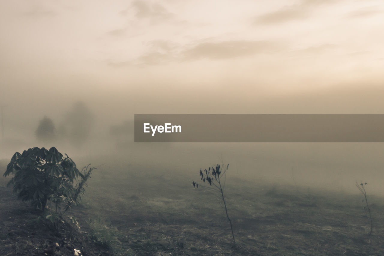 Scenic view of field against sky in foggy weather