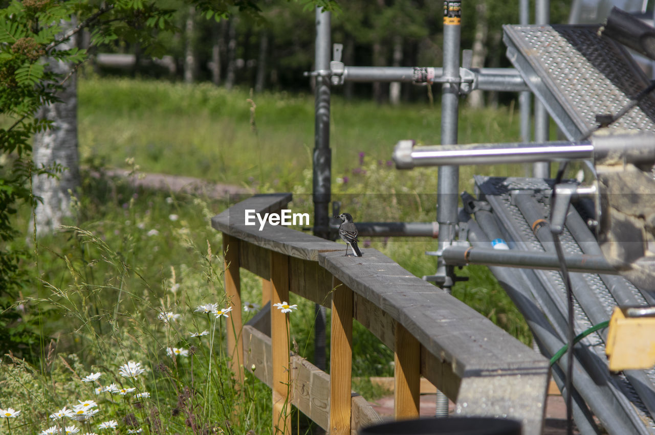 Bird on a wooden fence, just beside metal construction 