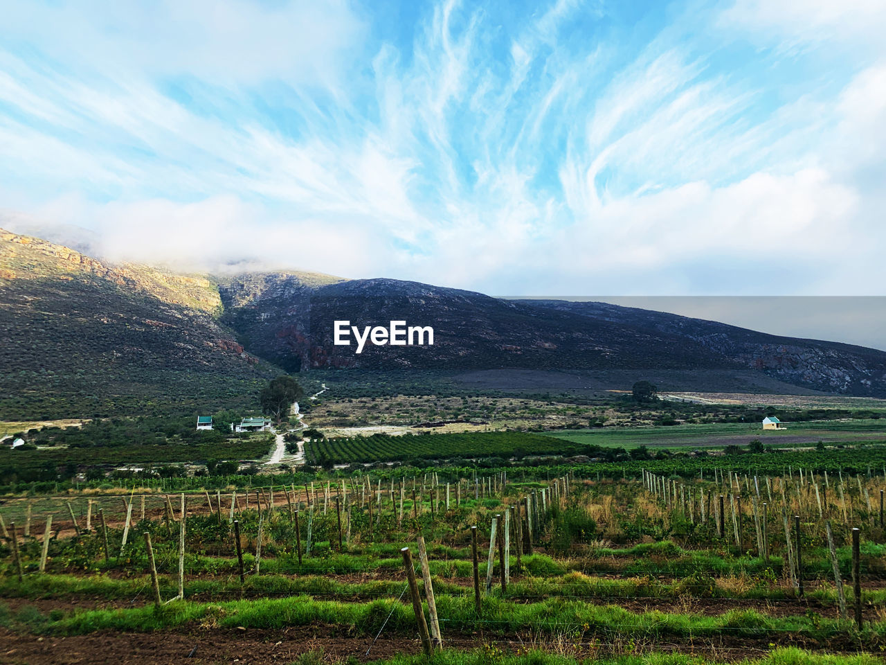 SCENIC VIEW OF AGRICULTURAL LANDSCAPE AGAINST SKY