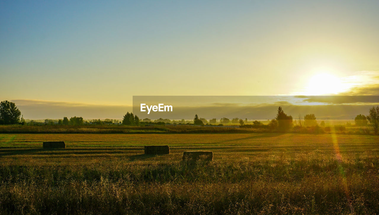 SCENIC VIEW OF AGRICULTURAL LANDSCAPE AGAINST SKY DURING SUNSET