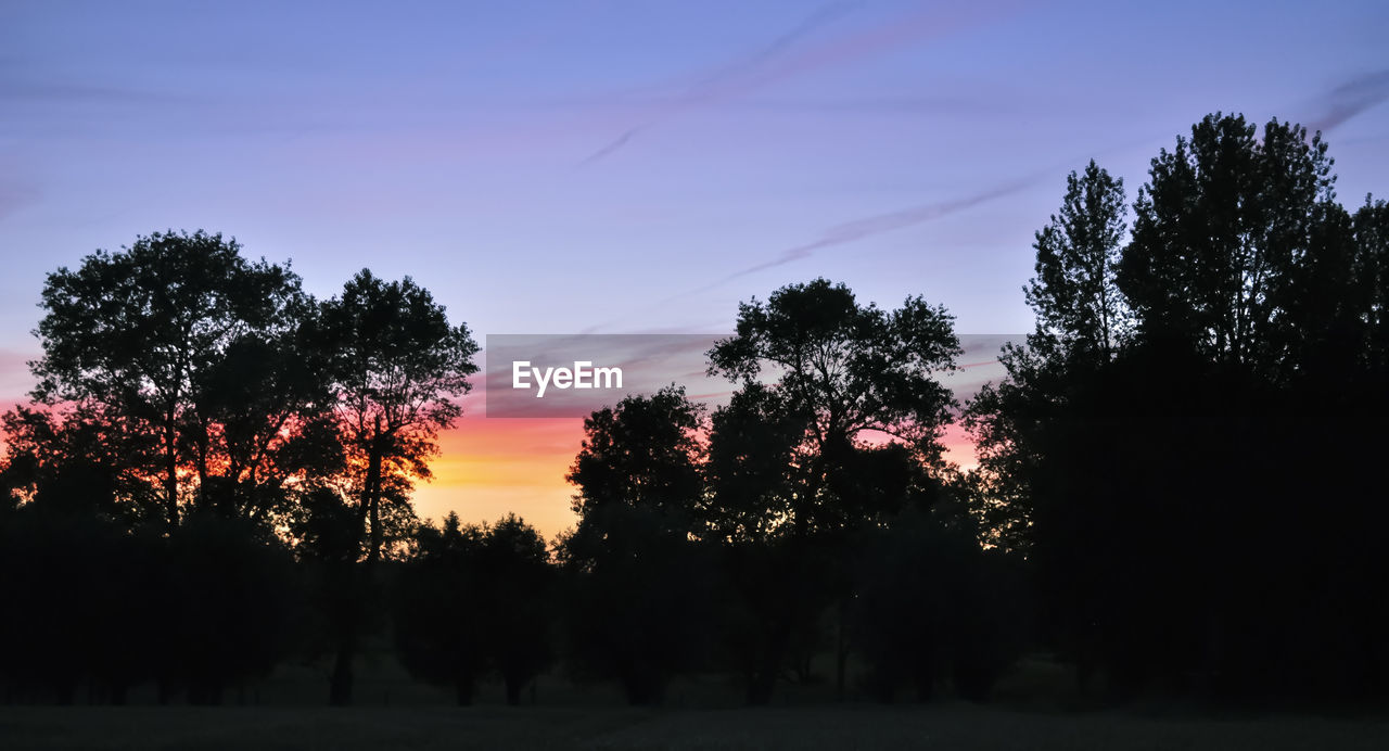 SILHOUETTE TREES AGAINST SKY DURING SUNSET