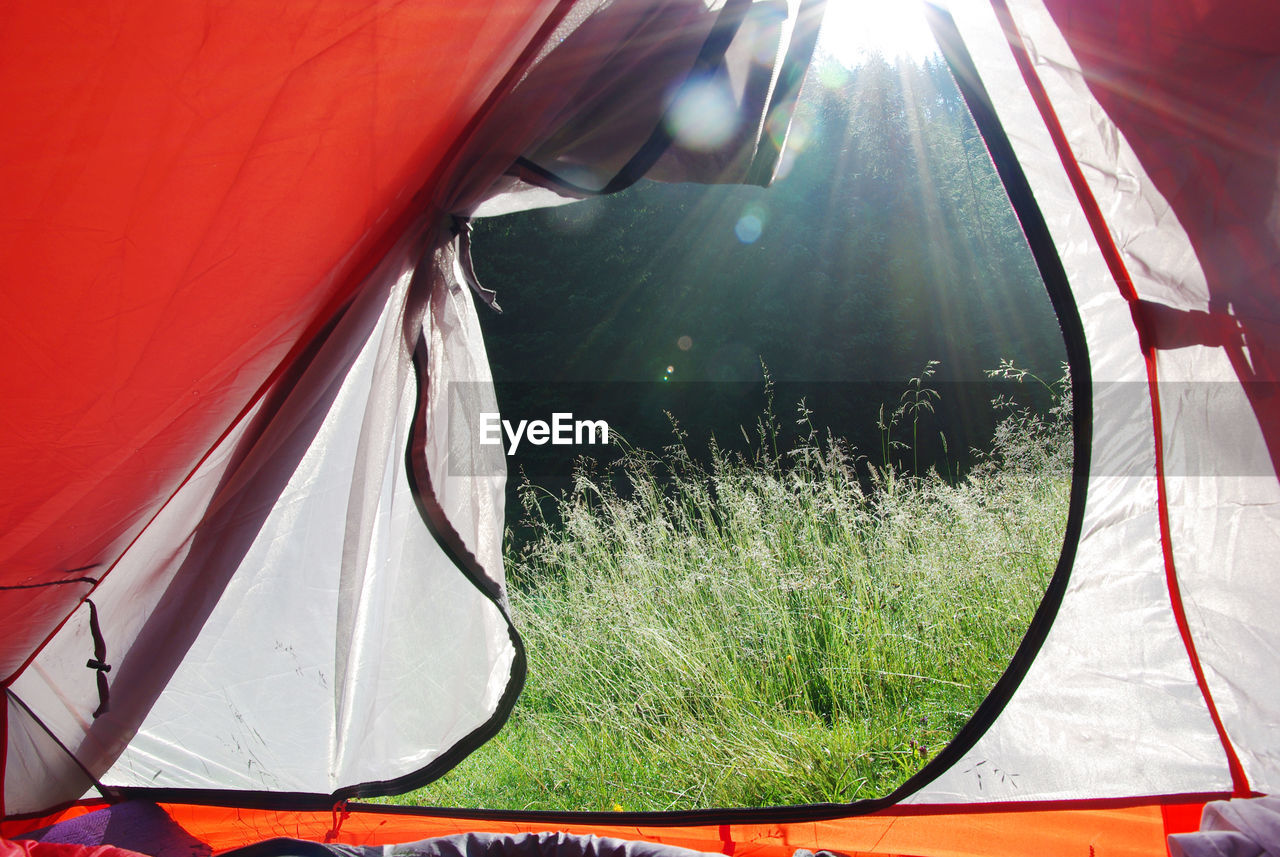 CLOSE-UP OF SIDE-VIEW MIRROR