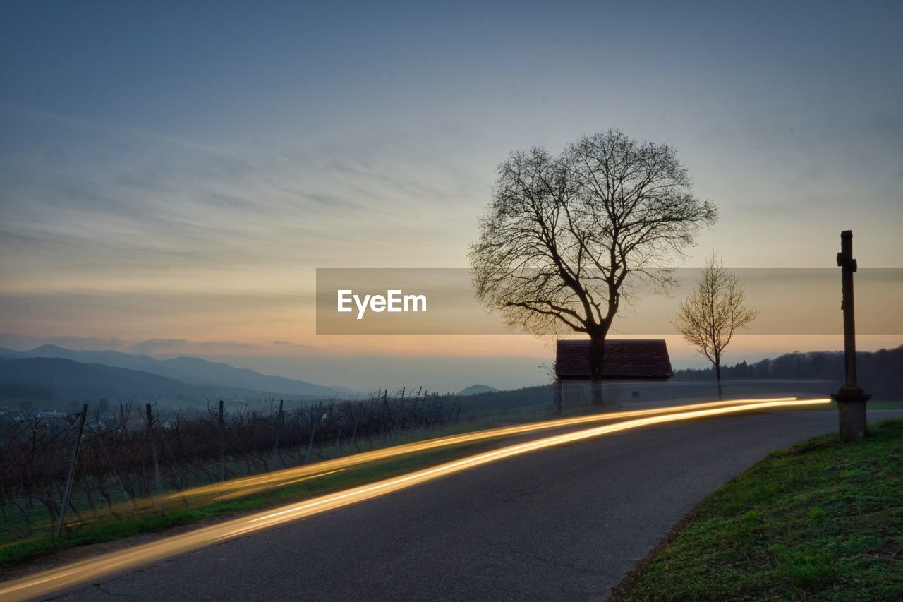 ROAD BY BARE TREES AGAINST SKY AT SUNSET