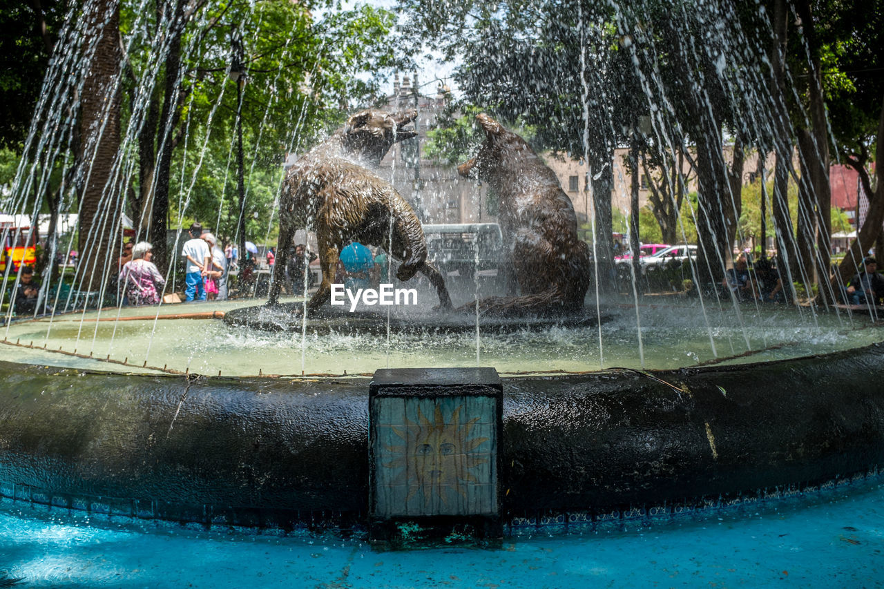 FOUNTAIN IN THE PARK