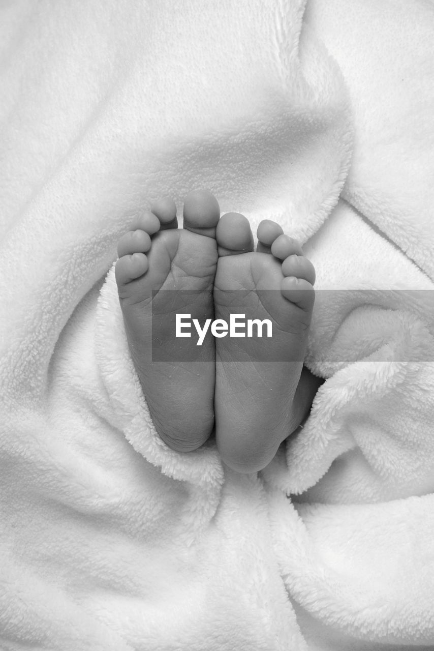 Close-up of baby feet in blanket