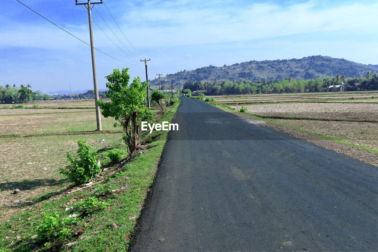 Road amidst green landscape against sky