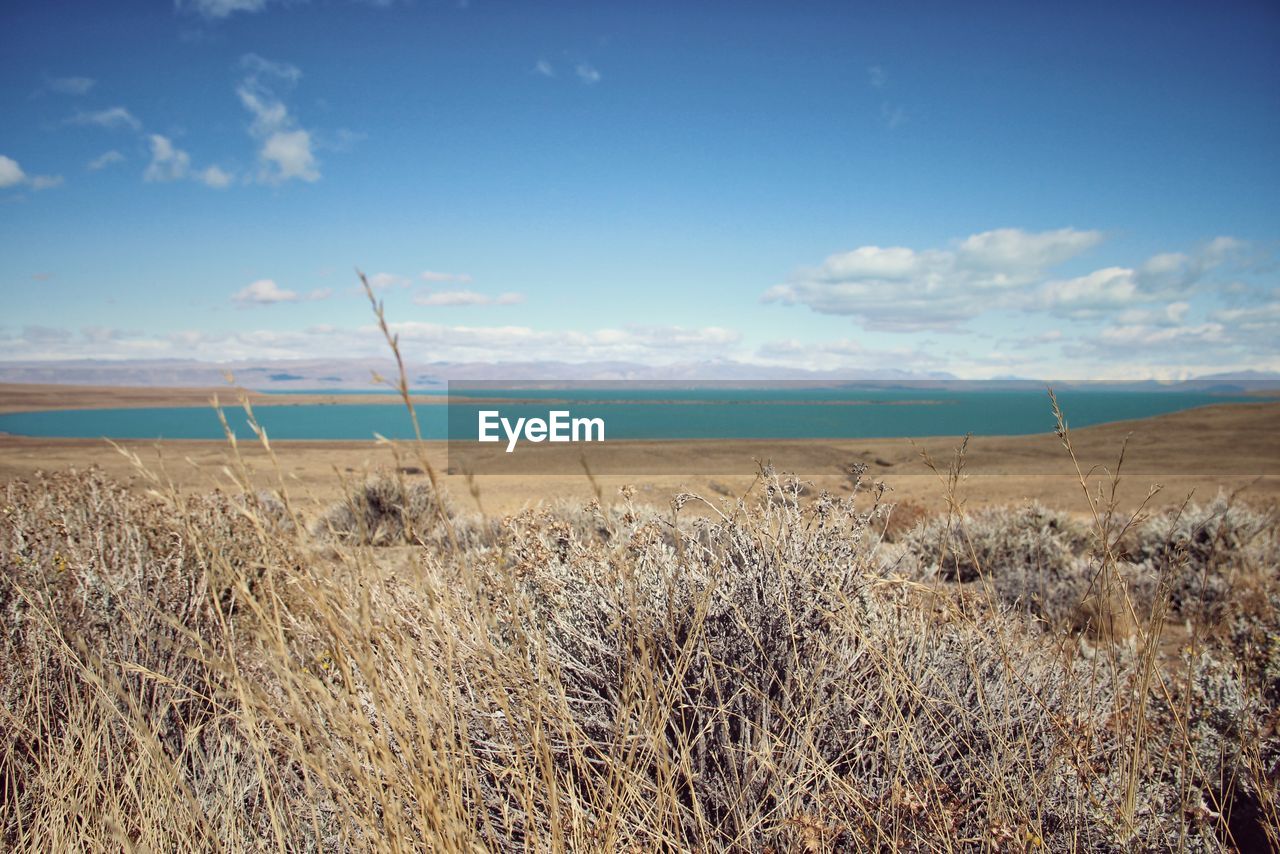 Scenic view of field and lake against sky