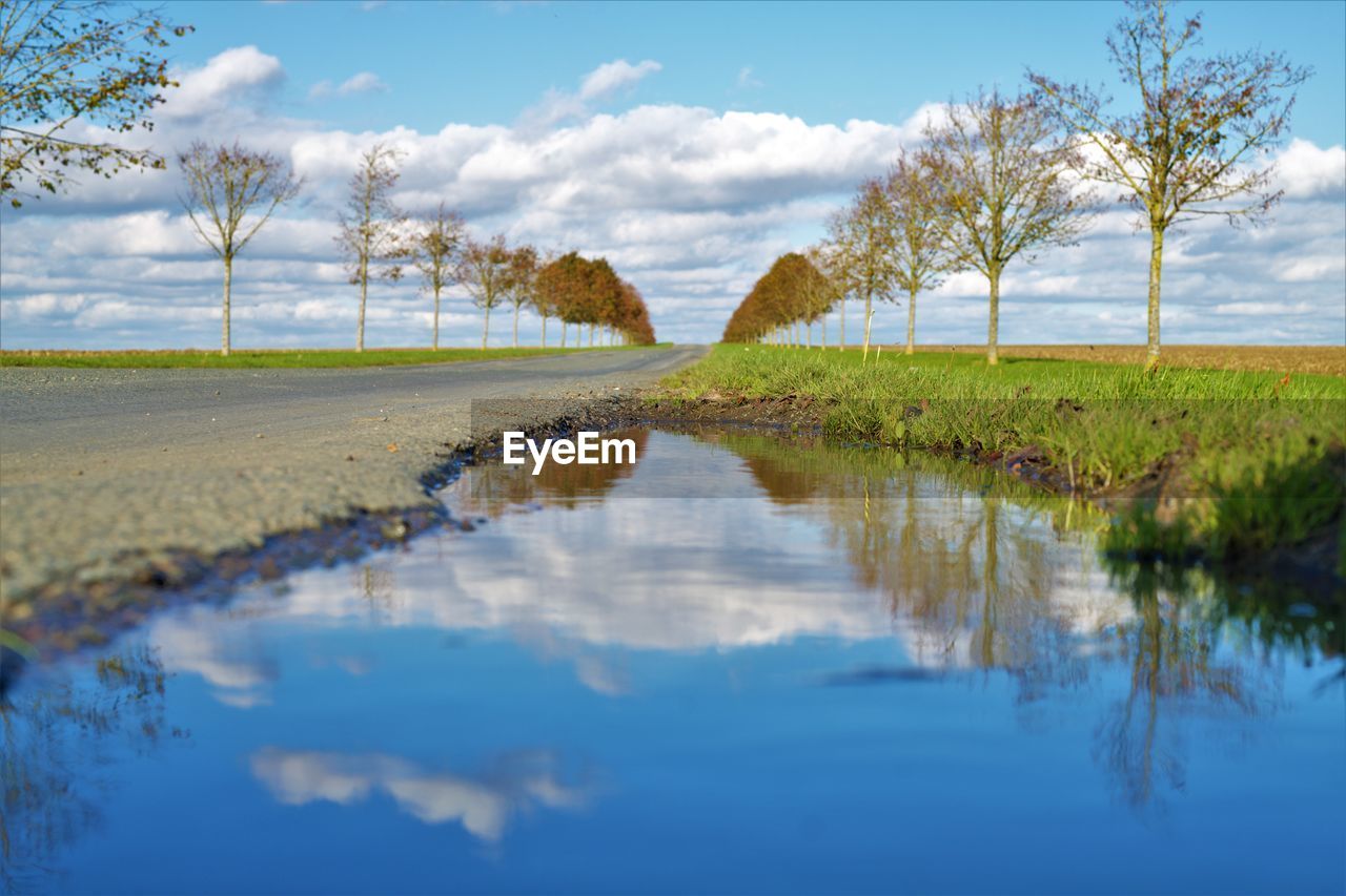 REFLECTION OF TREES IN WATER