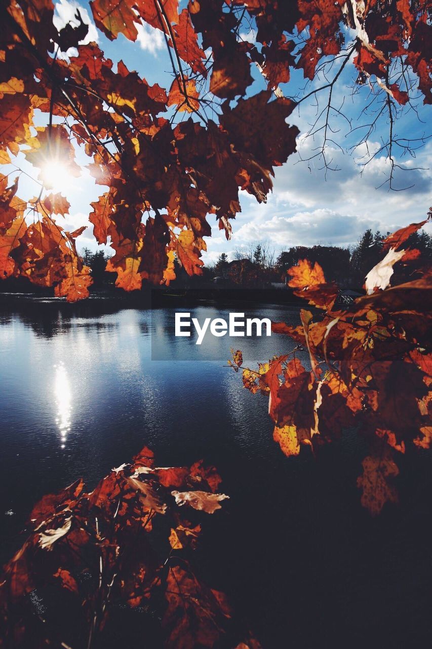 SCENIC VIEW OF LAKE DURING AUTUMN