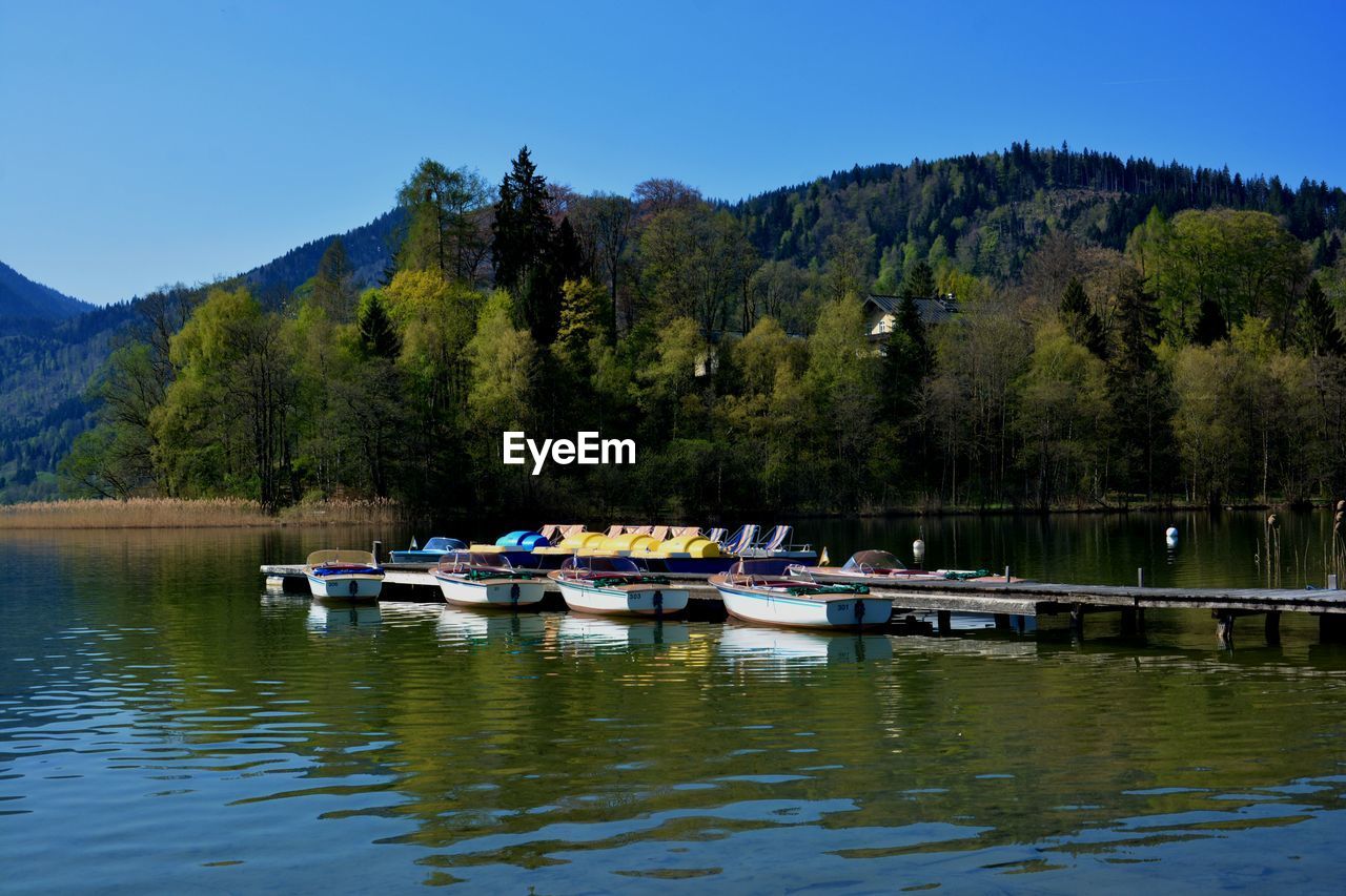 Scenic view of lake by trees against sky