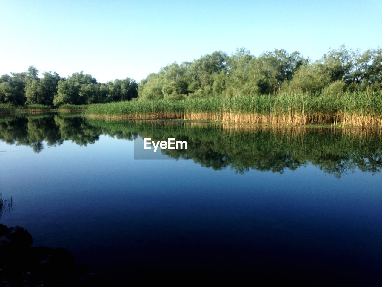 REFLECTION OF TREES IN LAKE AGAINST SKY