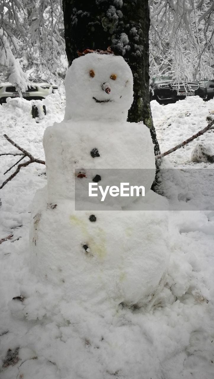 CLOSE-UP OF SNOW SCULPTURE ON FIELD