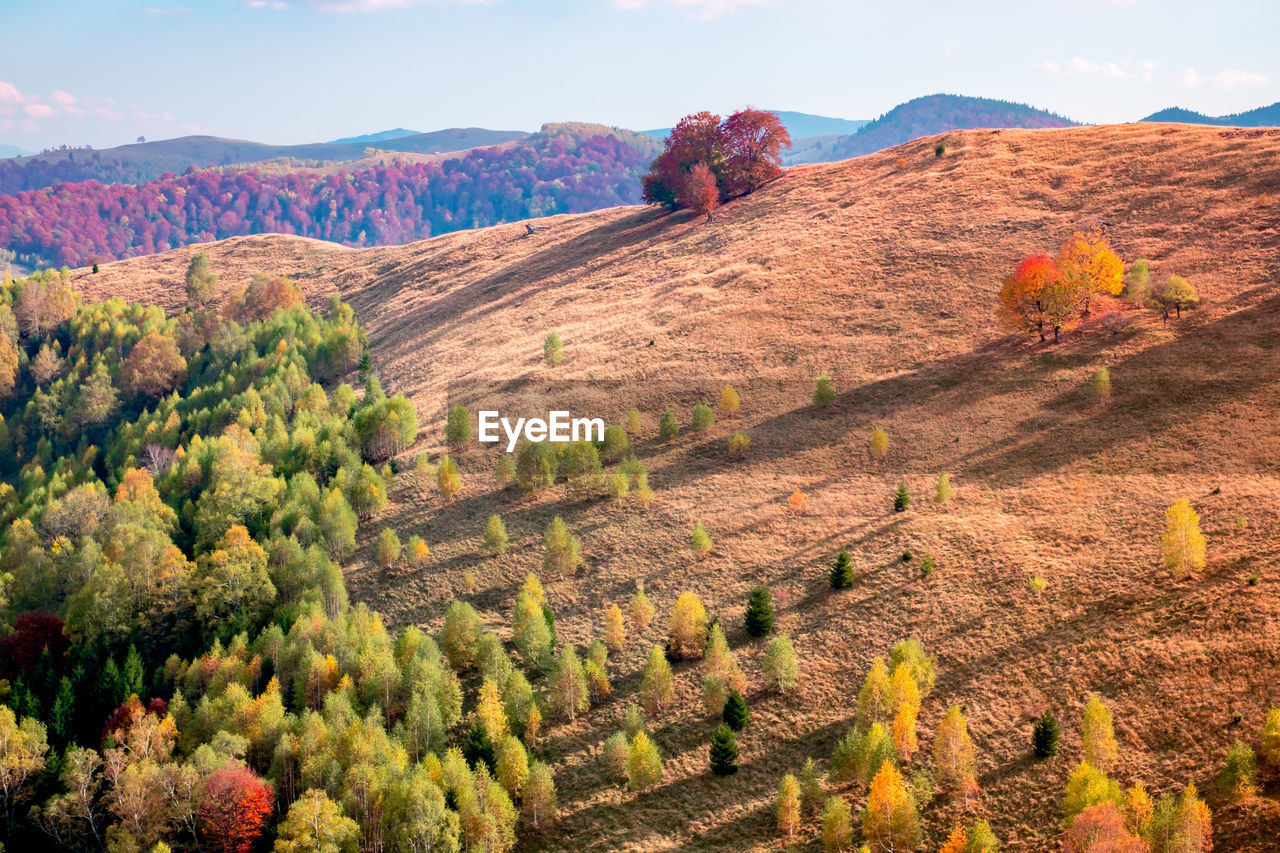 Romanian mountains in autumn season, cindrel mountains, paltinis area, sibiu county, central romania